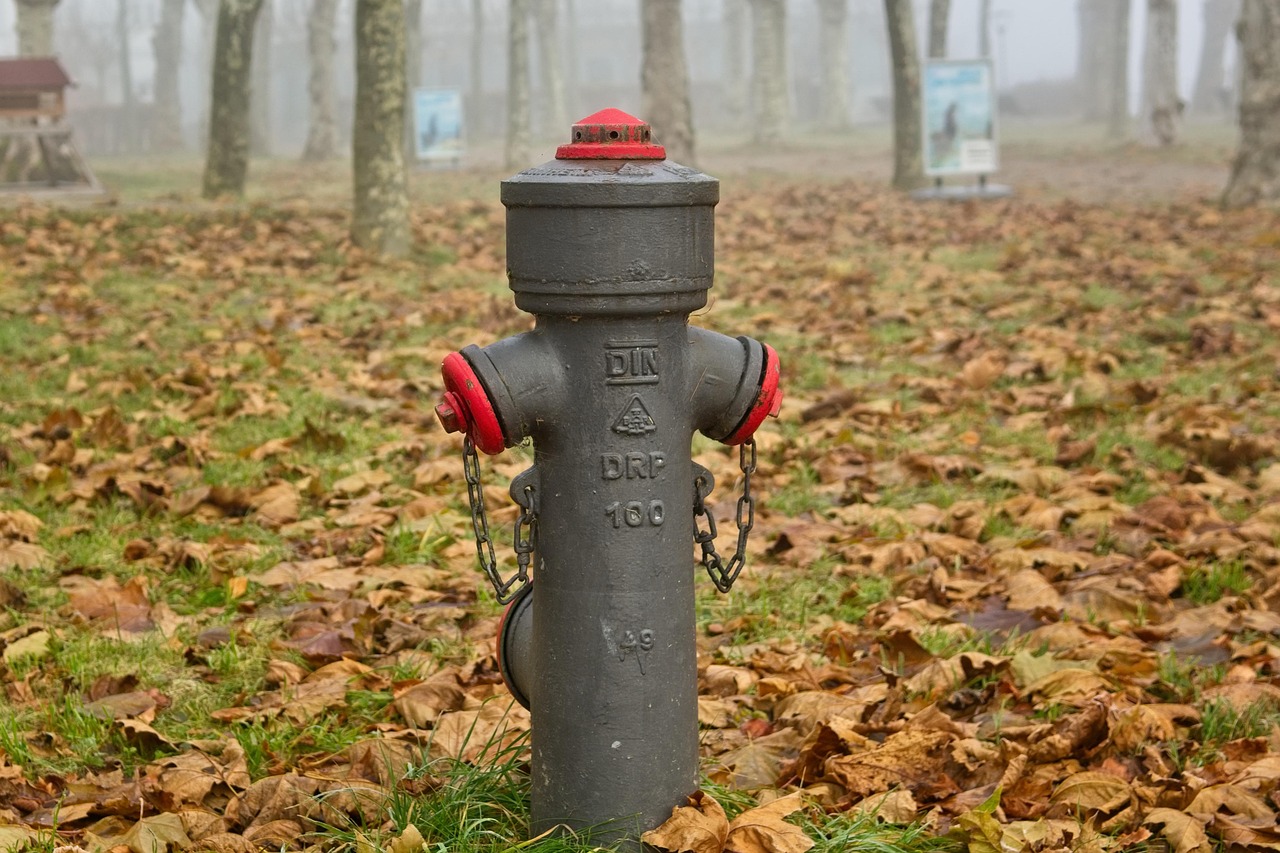 hydrant, watering hole, nature, fire fighting water supply, water tap, water supply, water hydrant, fire fighting, water withdrawal, fire fighting water, fire fighters, water supplier, fall, leaves